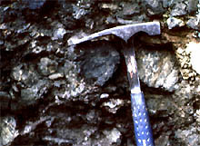 decimeter sized angular clasts in breccia at base of the potsdam sandstone, cambrian, new york