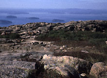 pinkish tan exposures of the Cadillac granite on the top of Mt Cadillac, Mt Desert Island, Maine.