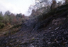 shale and siltstone outcrop, devonian of new york