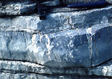 a carbonate sedimentary reock: massive blue grey lowville limestone, ordovician, new york.