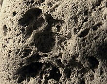 Pumice, flotsam on beach, east coast, Australia