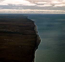 Coastline south of Barrow