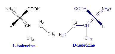 L-isoleucine and D-isoleucine are mirror images of each other