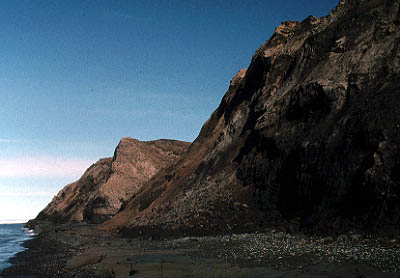 Sea cliff exposures at Skull Cliff