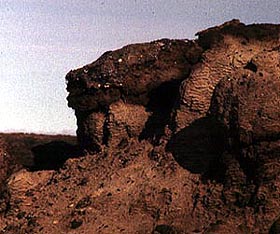 close up of peat at top of section, pebbles visible.