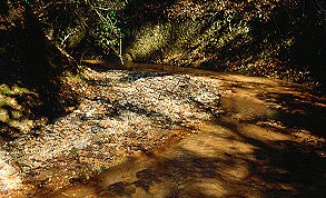 Point bar in little stave creek