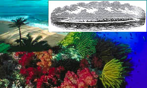 Coral
atoll with view of beach and coral reef wall